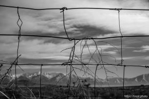 Mount Timpanogos from across Utah Lake, desert drive on Sunday, Feb. 23, 2025.