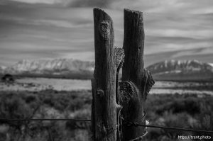 Mount Timpanogos from across Utah Lake, desert drive on Sunday, Feb. 23, 2025.