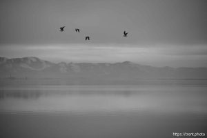 Great Salt Lake, Stansbury Island, desert drive on Sunday, Feb. 23, 2025.