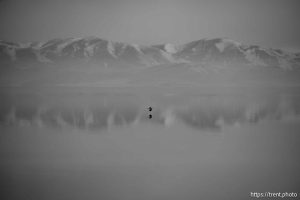 Great Salt Lake, Stansbury Island, desert drive on Sunday, Feb. 23, 2025.