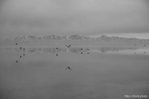 Great Salt Lake, Stansbury Island, desert drive on Sunday, Feb. 23, 2025.
