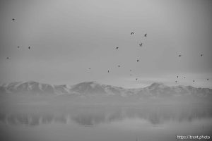 Great Salt Lake, Stansbury Island, desert drive on Sunday, Feb. 23, 2025.