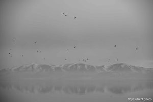 Great Salt Lake, Stansbury Island, desert drive on Sunday, Feb. 23, 2025.