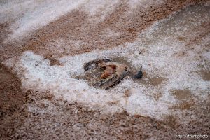 Great Salt Lake, Stansbury Island, desert drive on Sunday, Feb. 23, 2025.