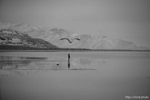 Great Salt Lake, Stansbury Island, desert drive on Sunday, Feb. 23, 2025.