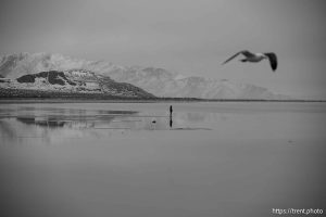 Great Salt Lake, Stansbury Island, desert drive on Sunday, Feb. 23, 2025.