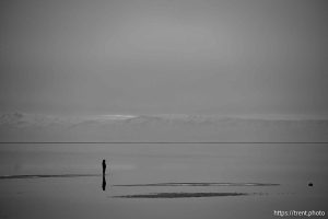 Great Salt Lake, Stansbury Island, desert drive on Sunday, Feb. 23, 2025.