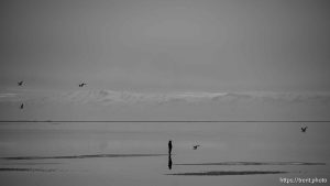 Great Salt Lake, Stansbury Island, desert drive on Sunday, Feb. 23, 2025.