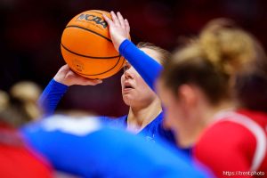 (Trent Nelson  |  The Salt Lake Tribune) 
BYU Cougars guard Delaney Gibb (11) as Utah hosts BYU, NCAA basketball in Salt Lake City on Saturday, March 1, 2025.
