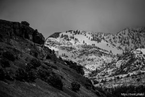 (Trent Nelson  |  The Salt Lake Tribune) The Bonneville Shoreline Trail at Hyde Park Canyon on Friday, March 7, 2025.