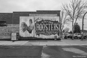 Magrath, on Saturday, March 29, 2025. Roosters, the Trading Company
