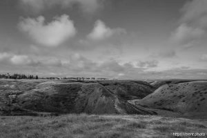 Lethbridge coulee on Sunday, March 30, 2025.