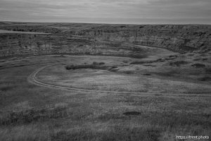 the jensen land on Sunday, March 30, 2025.