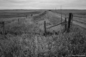 the jensen land on Sunday, March 30, 2025.