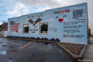 QAnon and MAGA murals, Dillon Appliance, on Monday, March 31, 2025.