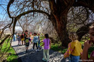 (Trent Nelson  |  The Salt Lake Tribune) The Ogden Nature Center on Thursday, April 10, 2025.
