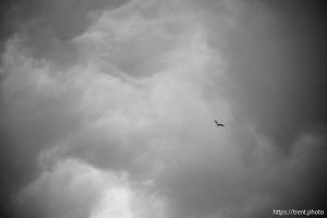 Short Creek trip, on Saturday, May 3, 2025.