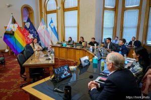 (Trent Nelson  |  The Salt Lake Tribune) Mayor Erin Mendenhall proposes three new city flags during a meeting of the Salt Lake City Council on Tuesday, May 6, 2025.