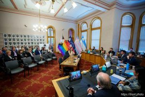 (Trent Nelson  |  The Salt Lake Tribune) Mayor Erin Mendenhall proposes three new city flags during a meeting of the Salt Lake City Council on Tuesday, May 6, 2025.