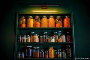 (Trent Nelson  |  The Salt Lake Tribune) Tandoori Taqueria in Salt Lake City on Friday, May 9, 2025.