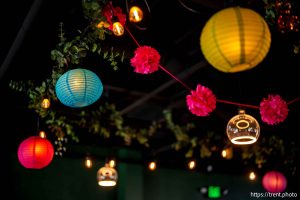 (Trent Nelson  |  The Salt Lake Tribune) Tandoori Taqueria in Salt Lake City on Friday, May 9, 2025.