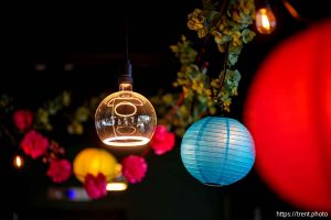 (Trent Nelson  |  The Salt Lake Tribune) Tandoori Taqueria in Salt Lake City on Friday, May 9, 2025.