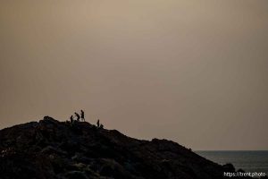 (Trent Nelson  |  The Salt Lake Tribune) Antelope Island on Monday, May 12, 2025.