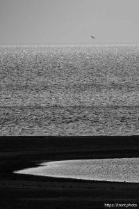 (Trent Nelson  |  The Salt Lake Tribune) The Great Salt Lake and Antelope Island on Monday, May 12, 2025.