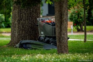 (Trent Nelson  |  The Salt Lake Tribune) A person and their belongings in Liberty Park in Salt Lake City on Tuesday, May 13, 2025.