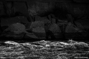 (Trent Nelson  |  The Salt Lake Tribune) The Colorado River near Lees Ferry in Marble Canyon, Ariz., on Tuesday, May 20, 2025.