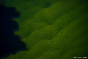 (Trent Nelson  |  The Salt Lake Tribune) The Colorado River as seen from Navajo Bridge in Ariz. on Tuesday, May 20, 2025.