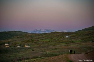 (Trent Nelson  |  The Salt Lake Tribune) Mount Timpanogos looks into Summit County where residents are suing to stop the incorporation of the town of West Hills, on Friday, May 30, 2025.