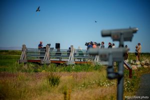 (Trent Nelson  |  The Salt Lake Tribune) Utah Division of Wildlife Resources director Riley Peck speaks at the unveiling of a new viewing platform and Hasenyager Trail at Eccles Wildlife Education Center in Farmington on Friday, June 13, 2025.
