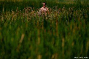 (Trent Nelson  |  The Salt Lake Tribune) Jogger, Eccles Wildlife Education Center in Farmington on Friday, June 13, 2025.