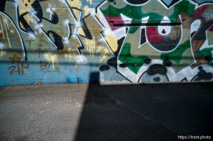 graffiti, State Street, Salt Lake City on Saturday, May 31, 2025.