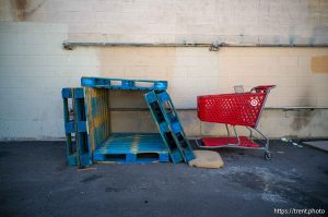 shelter of blue palettes, State Street, Salt Lake City on Saturday, May 31, 2025.