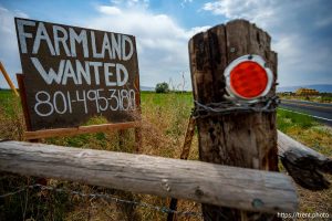 (Trent Nelson  |  The Salt Lake Tribune) Farmland wanted sign. Agricultural land in Spanish Fork on Tuesday, July 15, 2025.