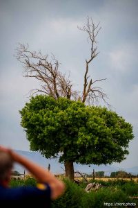 Spanish Fork on Tuesday, July 15, 2025.