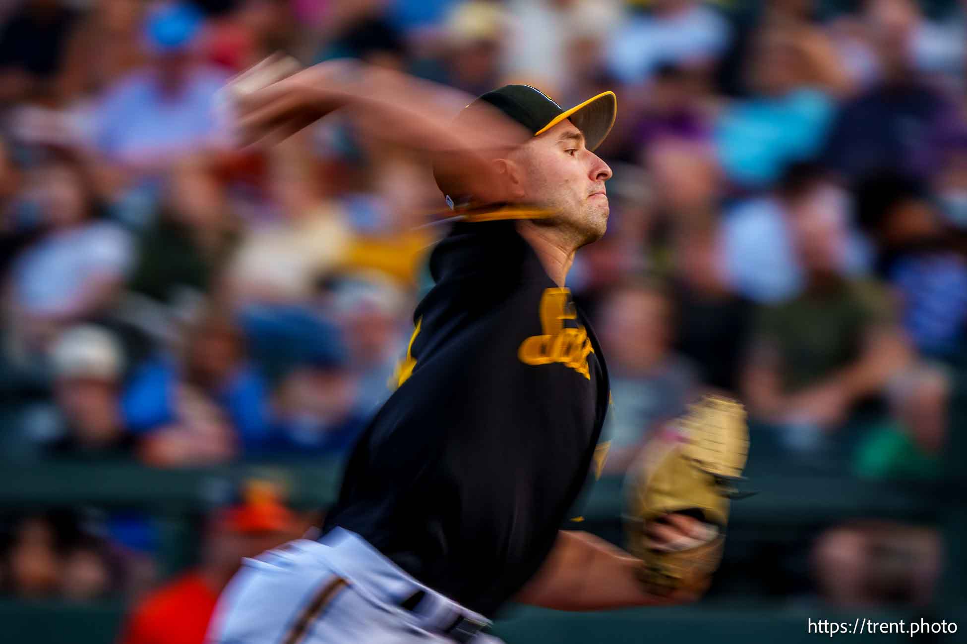 Salt Lake Bees