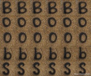 Boobs, Thistle on Tuesday, Aug. 12, 2025.