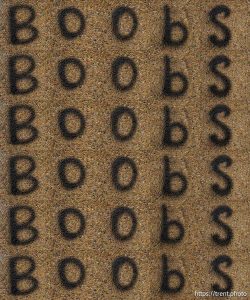 Boobs, Thistle on Tuesday, Aug. 12, 2025.