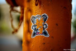 sticker, Salt Lake City on Thursday, Aug. 14, 2025.