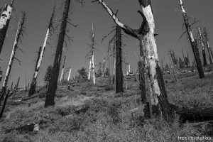 Sword Lake on Saturday, Aug. 30, 2025.