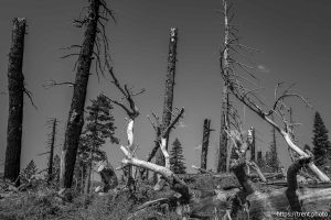 Sword Lake on Saturday, Aug. 30, 2025.