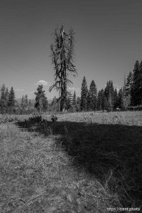 Sword Lake on Saturday, Aug. 30, 2025.