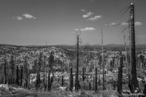 Sword Lake on Saturday, Aug. 30, 2025.