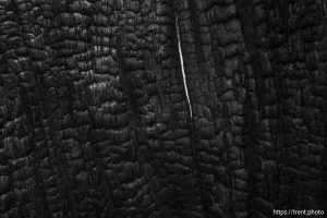 Sword Lake on Saturday, Aug. 30, 2025.