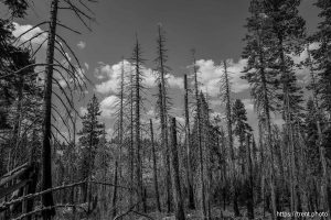 Sword Lake on Saturday, Aug. 30, 2025.