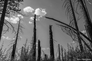 Sword Lake on Saturday, Aug. 30, 2025.