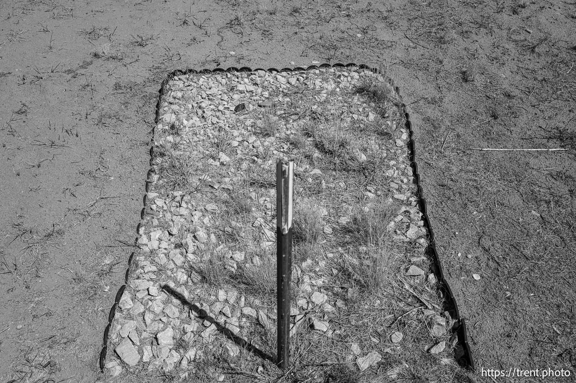 Polygamy in the American West